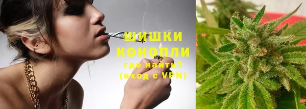 трава Коряжма
