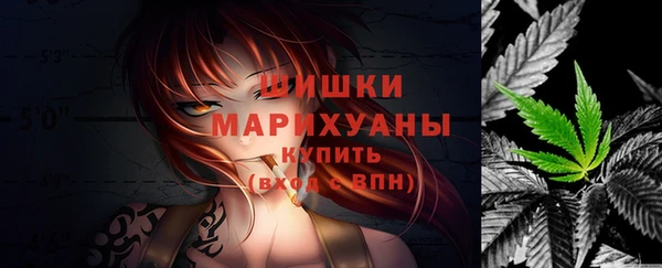 трава Коряжма