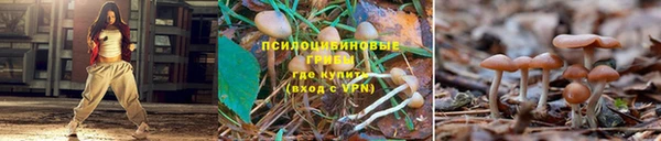 скорость mdpv Костерёво