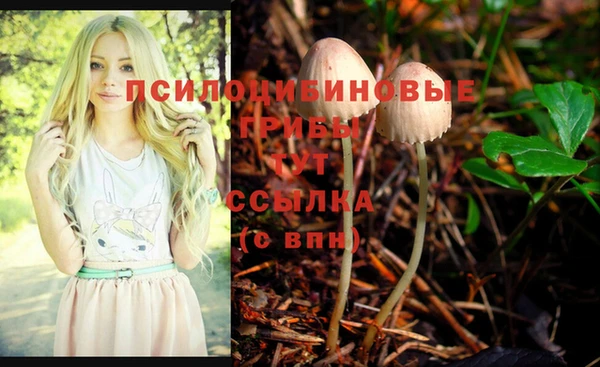бутират Корсаков