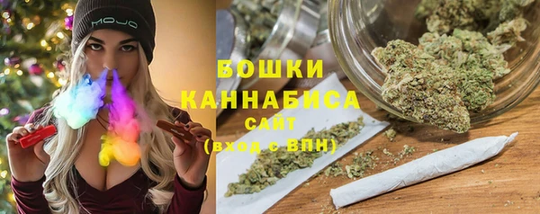дурь Краснослободск