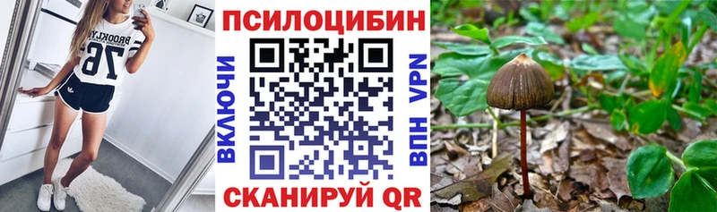Псилоцибиновые грибы Psilocybe  продажа наркотиков  Называевск 